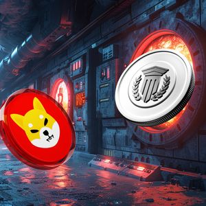 As Shiba Inu (SHIB) Cools Down, Investors Turn to New $0.035 DeFi Token to Recreate Its 2021 Gains