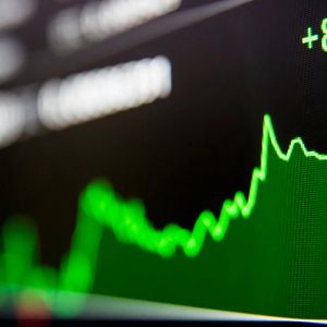 Safety Shot (SHOT) announced an upcoming BONK treasury