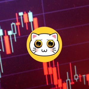 KIKI launch sabotaged with insider bots and fake tokens