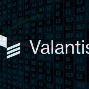 Valantis acquires second-largest HyperEVM liquid staking platform to boost DEX integration