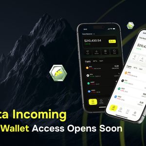 Why Have Solana (SOL) and Ripple (XRP) Fallen Out Of Favor – Does It Have Something To Do With This Viral Token?