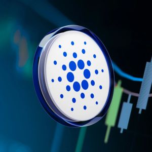 Cardano awards first disbursements from community treasury initiative