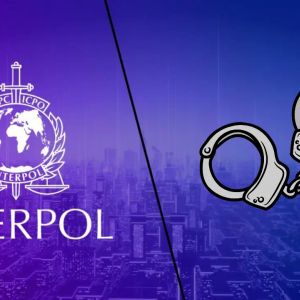 Interpol strikes African crypto crime with $100M seized