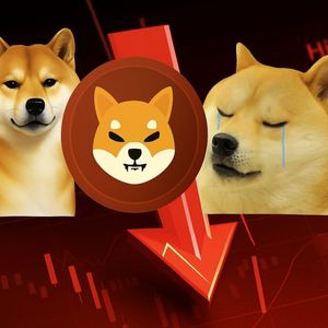 Why Shiba Inu Could Fall More Than 15% This Fall as Investors Choose New Altcoins Like XYZVerse (XYZ) to Build a New Meme Market