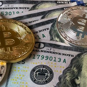 Businesses allocate 22% of profits to Bitcoin amid rising inflation