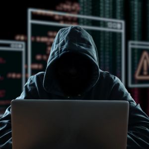 Fortune Collective founder loses $1M worth of crypto in video phishing