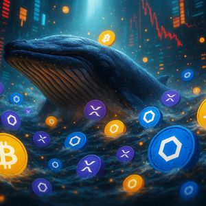 Bitcoin, XRP and LINK: Top Long-Term Crypto Picks Backed by Institutional Whales