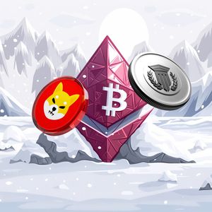 Buying Mutuum Finance (MUTM) Before It Skyrockets to $3.50 Could Be Smarter Than Investing in Shiba Inu (SHIB)