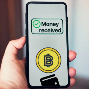 Whale wallet receives $375M in stablecoins: Biggest direct on-chain investment yet?