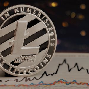 Whales scoop another 181K LTC in days, on expectations of a new ETF by Grayscale
