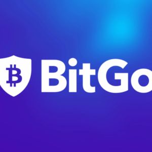 BitGo gets BaFin greenlight to supercharge crypto services in Europe
