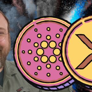 Cardano’s Hoskinson praises Ripple and the XRP army