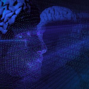 LLMs become builders, testers, or philosophers when left alone