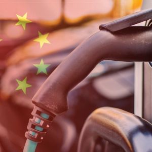 China EV brands target overseas markets as domestic price wars crush startups, profits