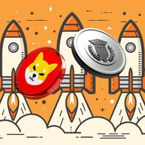 Top Crypto to Buy for the Upcoming Bull Run: Shiba Inu (SHIB) vs Mutuum Finance (MUTM)