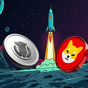 Shiba Inu (SHIB) 2025 Bull Run Target Slashed as Stronger Crypto at $0.035 Excites Investors
