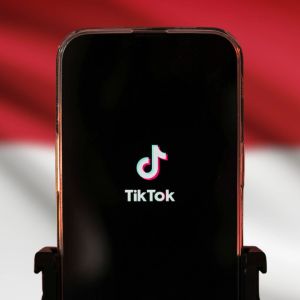 Indonesia suspends TikTok’s license as talk of social media biometric scans gathers steam