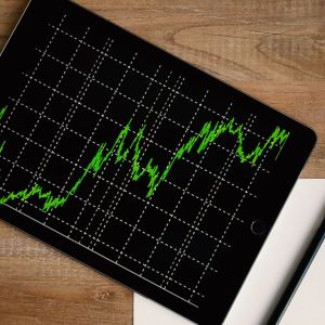 The S&P 500 rose 14% through September and hit a new all-time high in early October