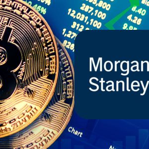Morgan Stanley’s new report advises only small crypto holdings for growth