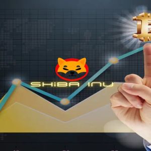 Shiba Inu price analysis: Upswing raises SHIB price to $0.000009211