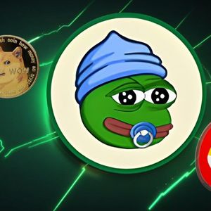Shiba Inu, Dogecoin, or Little Pepe: Which of these Top Meme Coins is Expected to Gain 105x By January 2025?