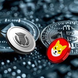 Investors Who Got in Early on Shiba Inu (SHIB) Believe This Could Be the Next Big Crypto