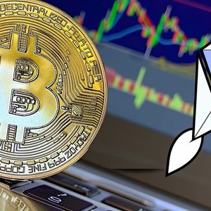 Top Ripple (XRP) Holders Scoop up MUTM at $0.035, Terming It the Best Cryptocurrency to Invest In