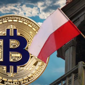 Members of the Polish parliament have been promised each a copy of “The Bitcoin Standard” book to acquaint themselves with crypto