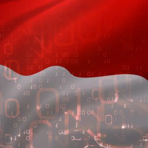 Indonesia weighs online gaming ban after teen-linked school bombing