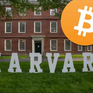 Harvard University now owns 6,813,612 shares of IBIT, valued at  $442.8 million