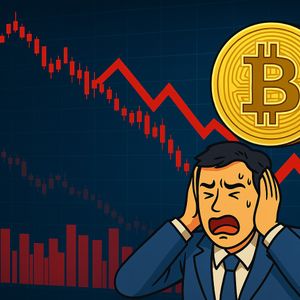 Crypto Market Crash Shocks Investors, but One Trend Is Standing Out