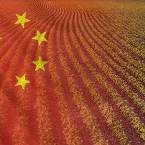 Chinese soybean buying falls short even after trade pledge