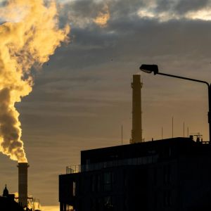 Big tech companies set off buying frenzy for carbon credits