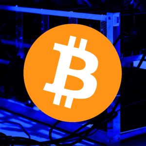 Bitcoin mining stocks climb as Nvidia reports strong Q3 results
