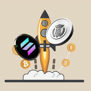 Top 3 Best Cryptos Whale Investors Are Buying as the Market Crashes