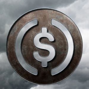 Stablecoin may reshape global liquidity and payment amid 100,000-issuer 'super cycle'