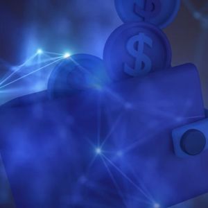 Understanding Stablecoin Wallets: USDT, USDC, and More