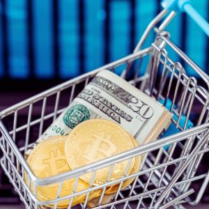 Token Cat Limited’s board agrees to allocate $1 billion of its cash reserves into selected crypto assets