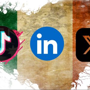 TikTok, LinkedIn join Musk's X in Ireland regulatory crosshairs