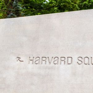 Harvard loses $40M on Bitcoin bets as crypto markets tumble