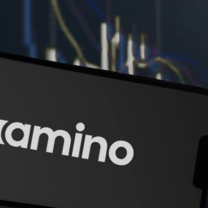 Kamino adds new institutional loans, RWA, developer kit products in platform rebrand