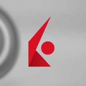 Interactive Brokers roll out stablecoin feature for US traders