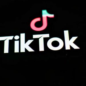 Vienna privacy group turns scrutiny on TikTok over Grindr data privacy breach