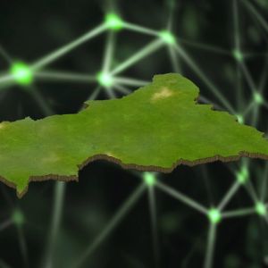 Study warns Central African Republic's unclear digital currency programs could allow foreign criminals to seize state property ahead of December 28 election