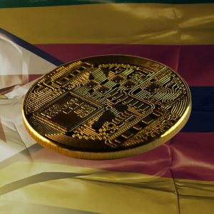 Zimbabwean victim intensifies push to recover $550,000 from scammers