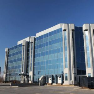 Large-cap U.S. companies posted strong profit growth and kept hiring, while small firms cut jobs