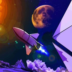 Shiba Inu (SHIB) Community Splits Over Direction As Mutuum Finance Emerges As The Next Big Cryptocurrency