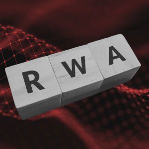 RWA protocols reached $17 billion in TVL, overtaking DEXs in the DeFi sector