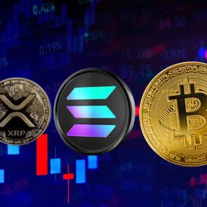 XRP and Solana trade at nearly double Bitcoin’s volatility this year