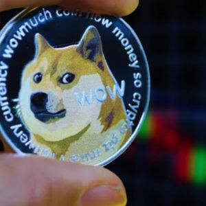 Meme coins start 2026 hot as traders look for high-return markets